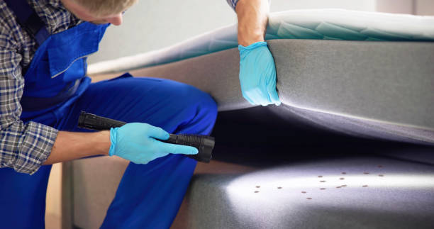 Best Local Pest Control Services  in Bloomsburg, PA