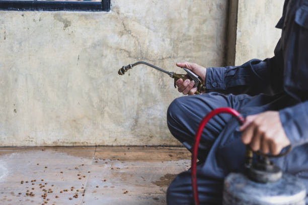 Best Best Pest Control Companies  in Bloomsburg, PA